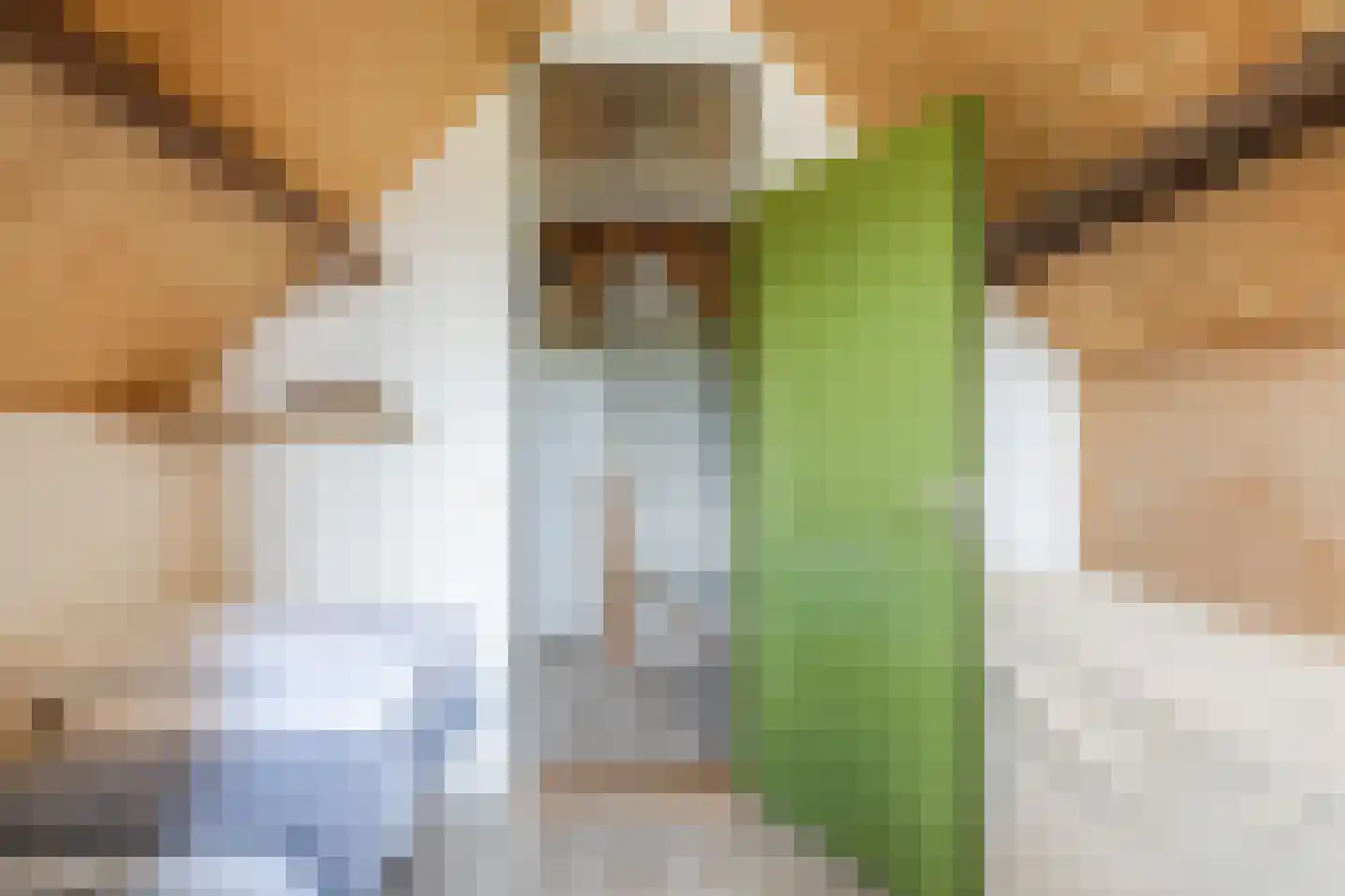 De Holtmaden 3 Hoogeveen thumbnail 36