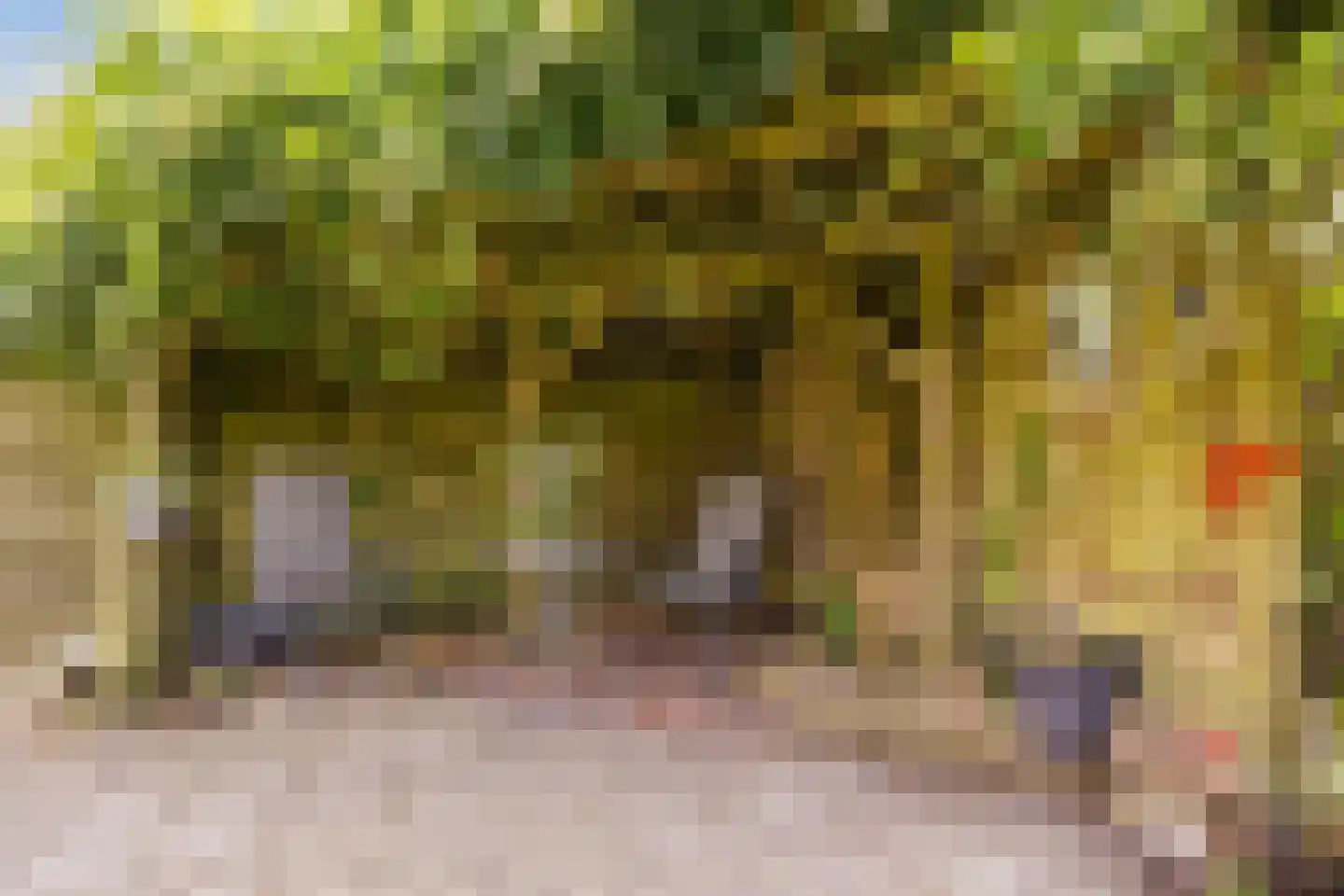 De Holtmaden 3 Hoogeveen thumbnail 41