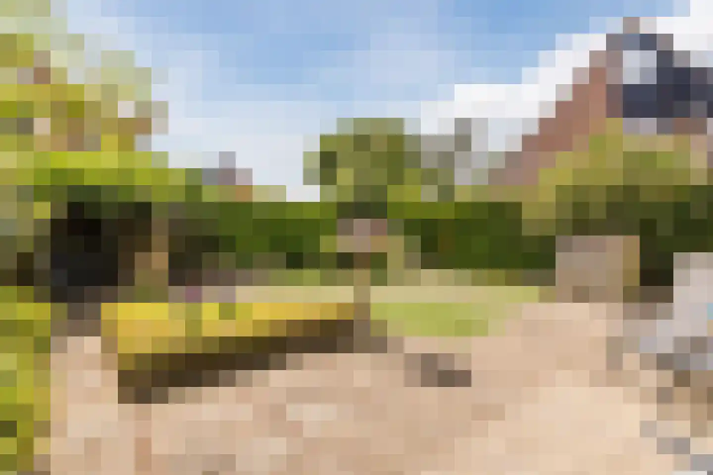 De Holtmaden 3 Hoogeveen thumbnail 5