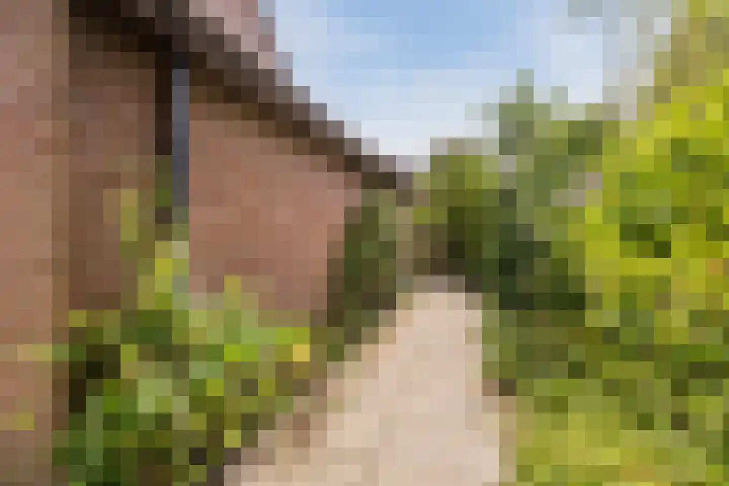De Holtmaden 3 Hoogeveen thumbnail 8