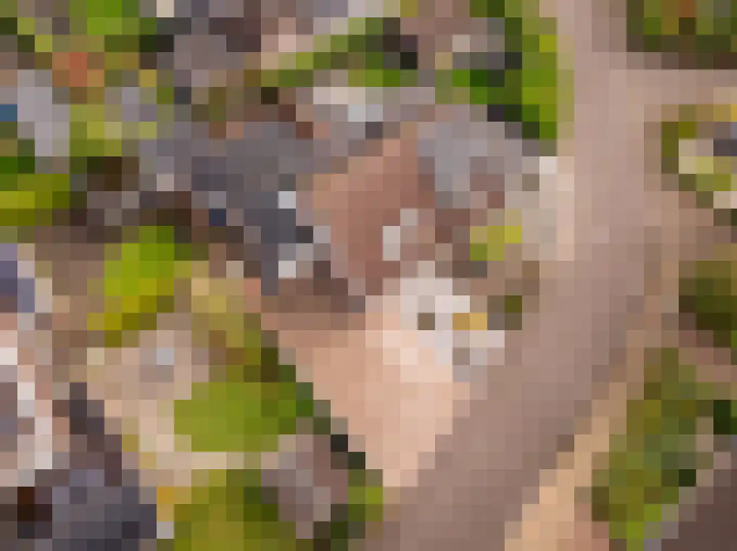 De Holtmaden 4 Hoogeveen thumbnail 37