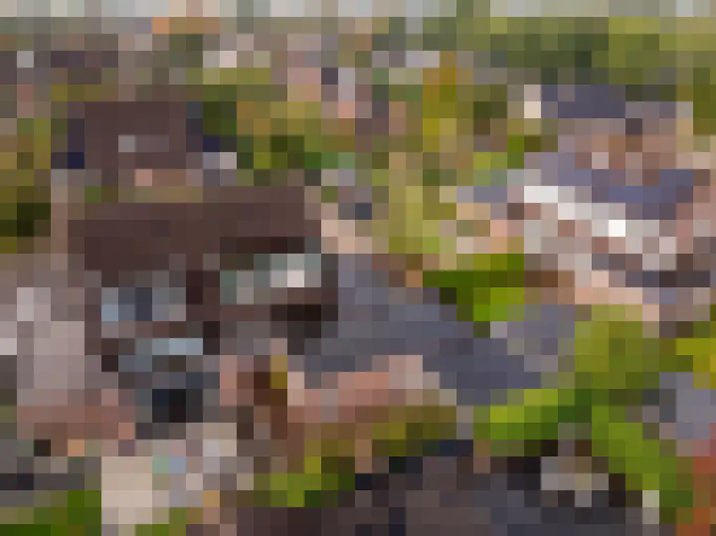 De Holtmaden 4 Hoogeveen thumbnail 38