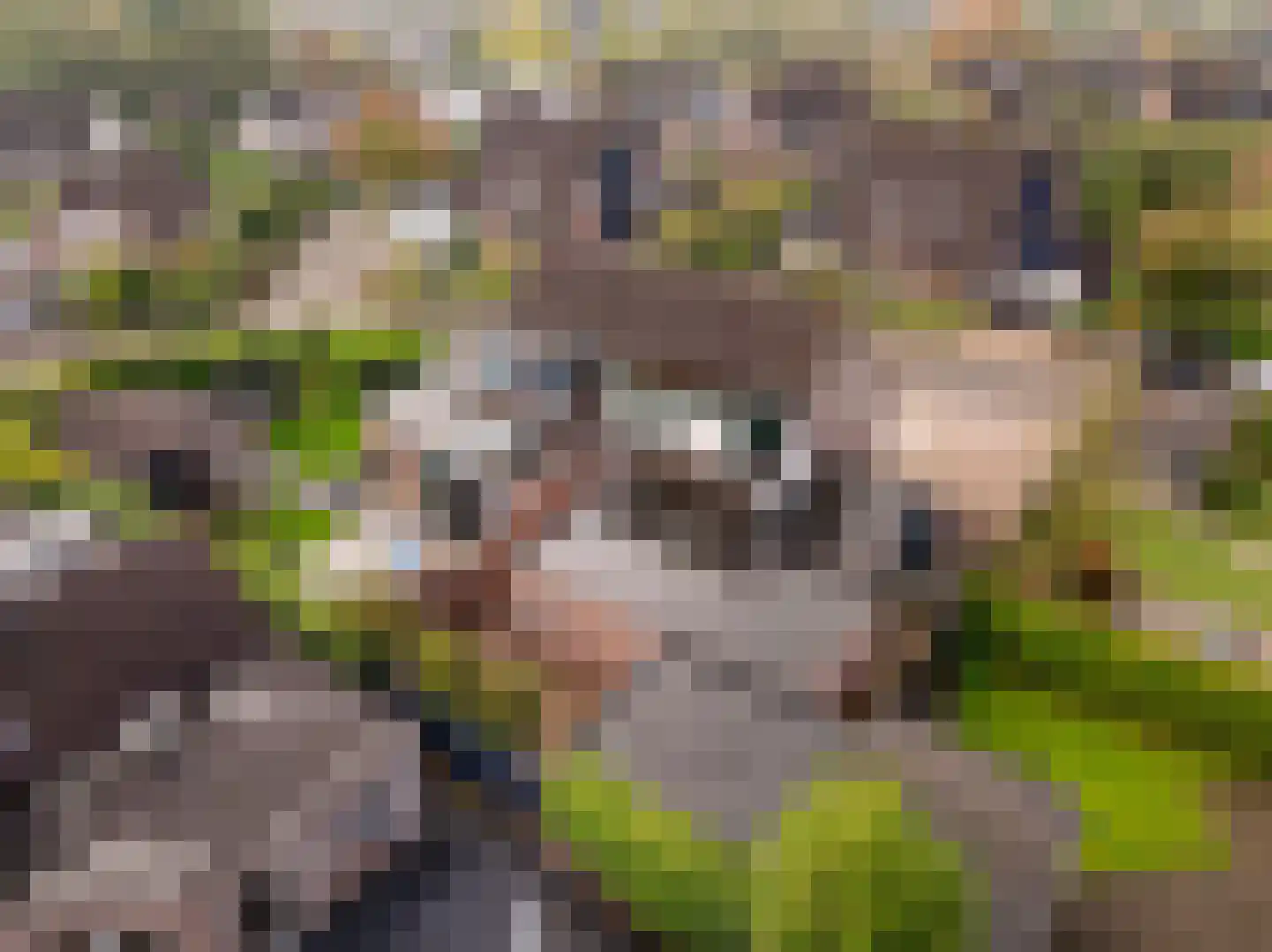 De Holtmaden 4 Hoogeveen thumbnail 52