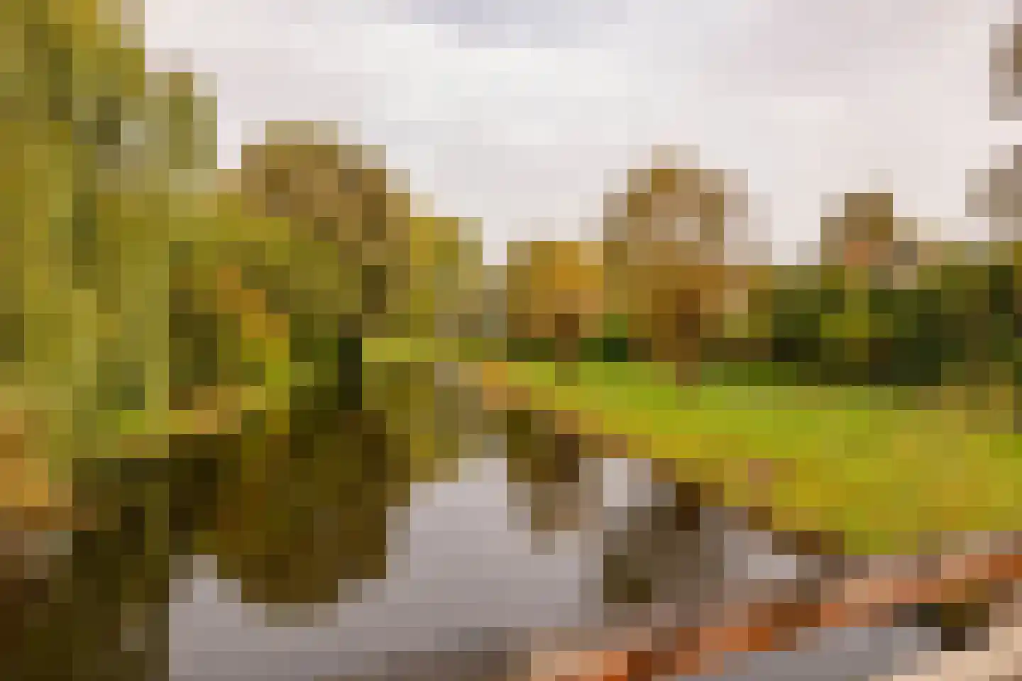 De Holtmaden 4 Hoogeveen thumbnail 58