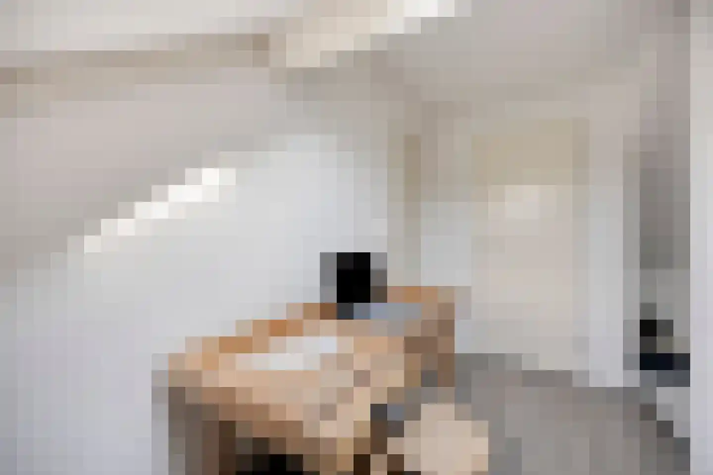 De Holtplaats 14 Silvolde thumbnail 27