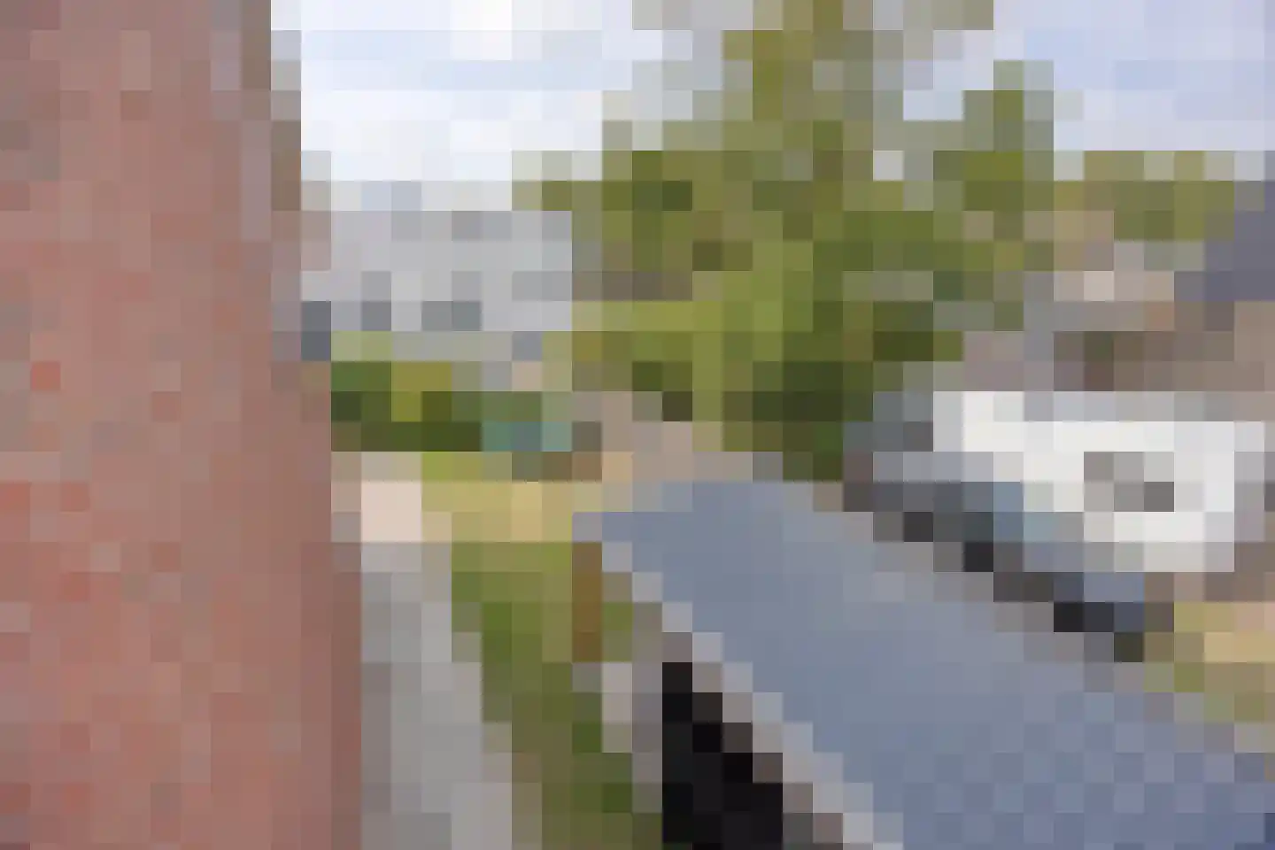 De Holtplaats 14 Silvolde thumbnail 35