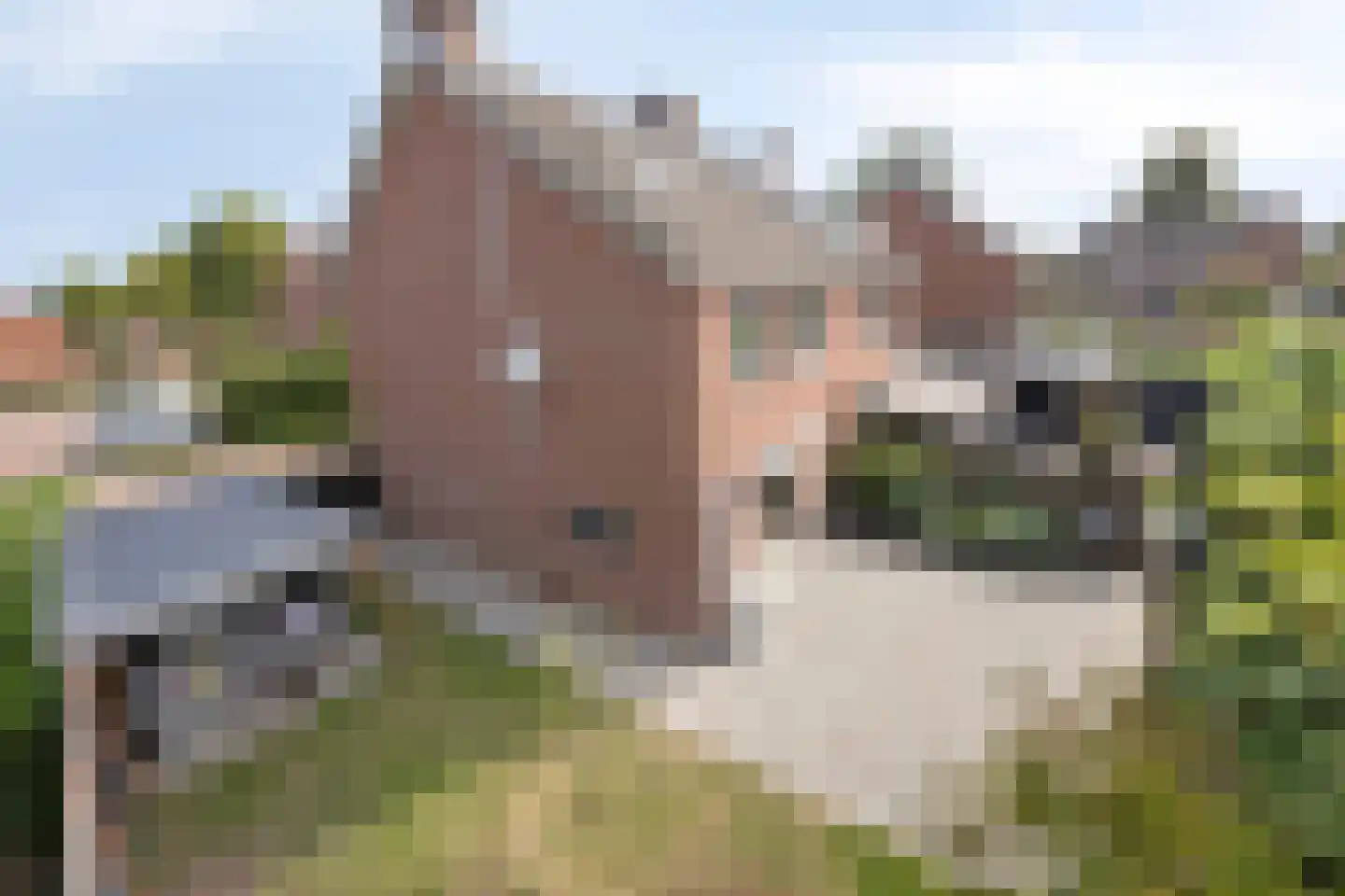 De Holtplaats 14 Silvolde thumbnail 36