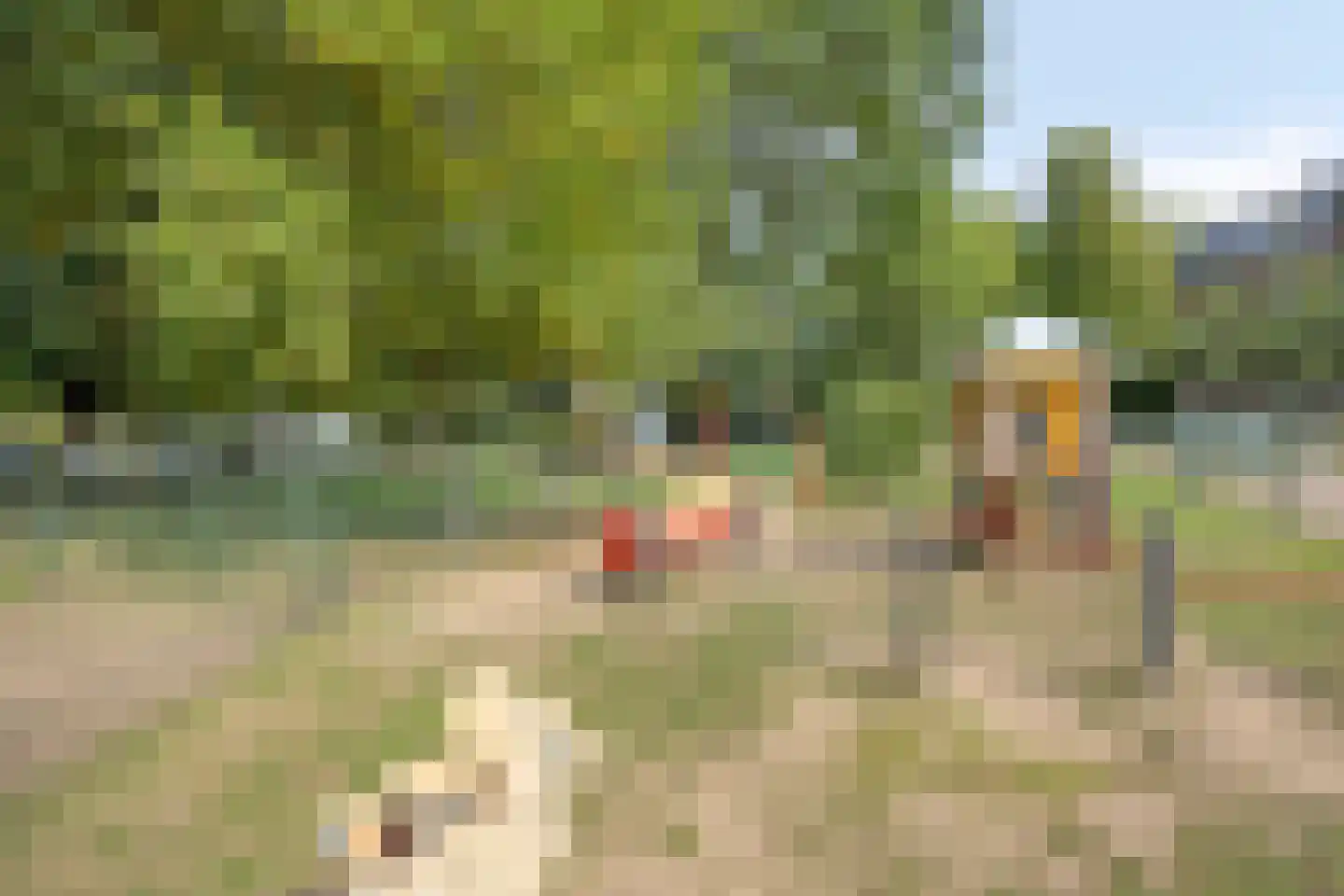 De Holtplaats 14 Silvolde thumbnail 43