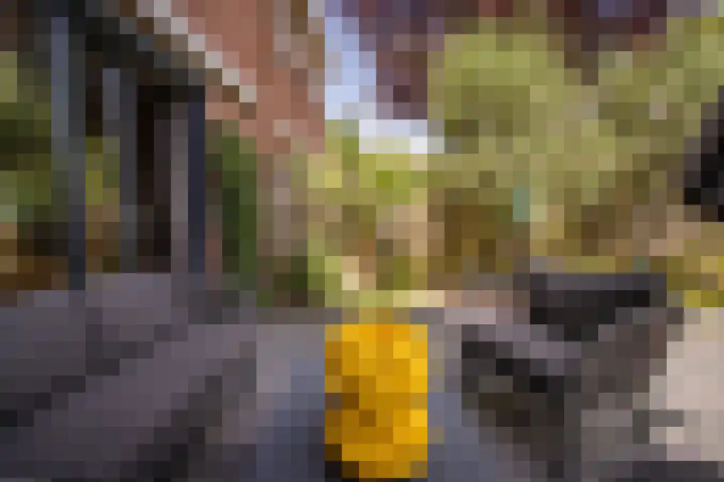 De Holtplaats 32 Silvolde thumbnail 12