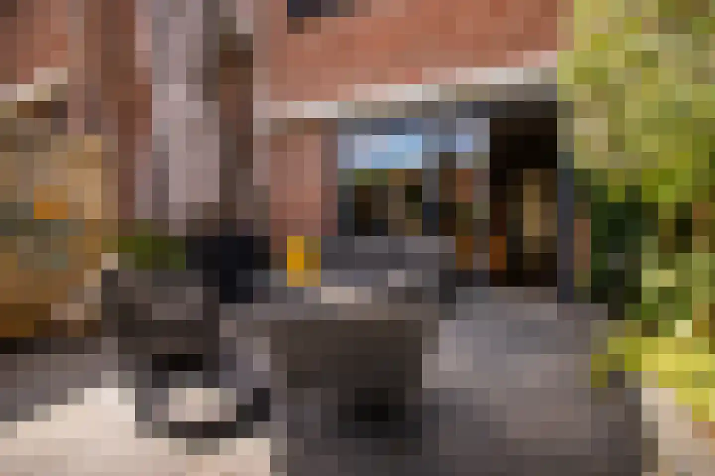 De Holtplaats 32 Silvolde foto 3