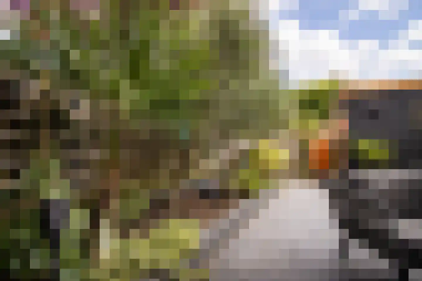 De Holtplaats 32 Silvolde thumbnail 32