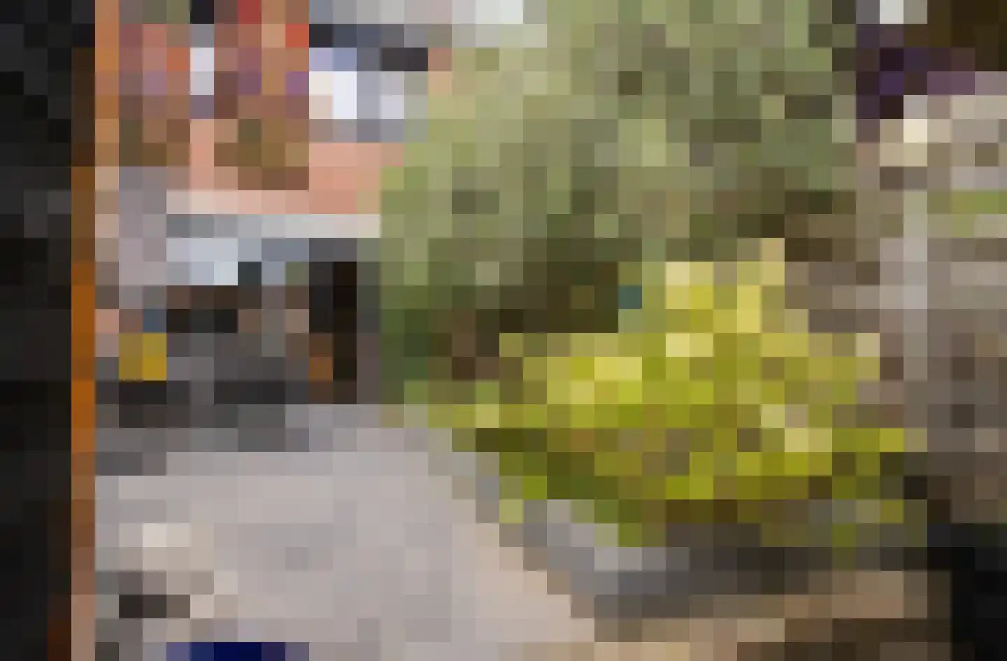De Holtplaats 32 Silvolde thumbnail 33