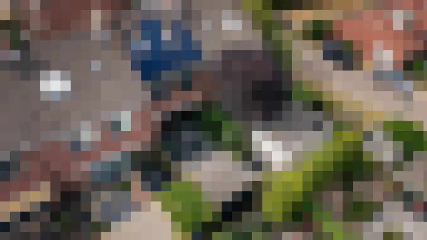De Holtplaats 32 Silvolde thumbnail 34