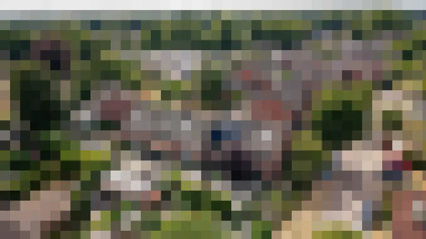 De Holtplaats 32 Silvolde thumbnail 35