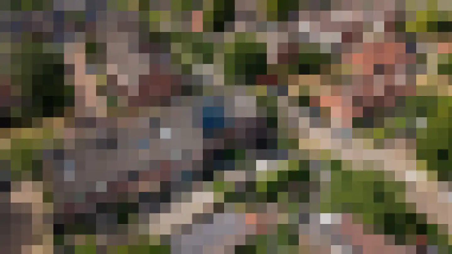 De Holtplaats 32 Silvolde thumbnail 38