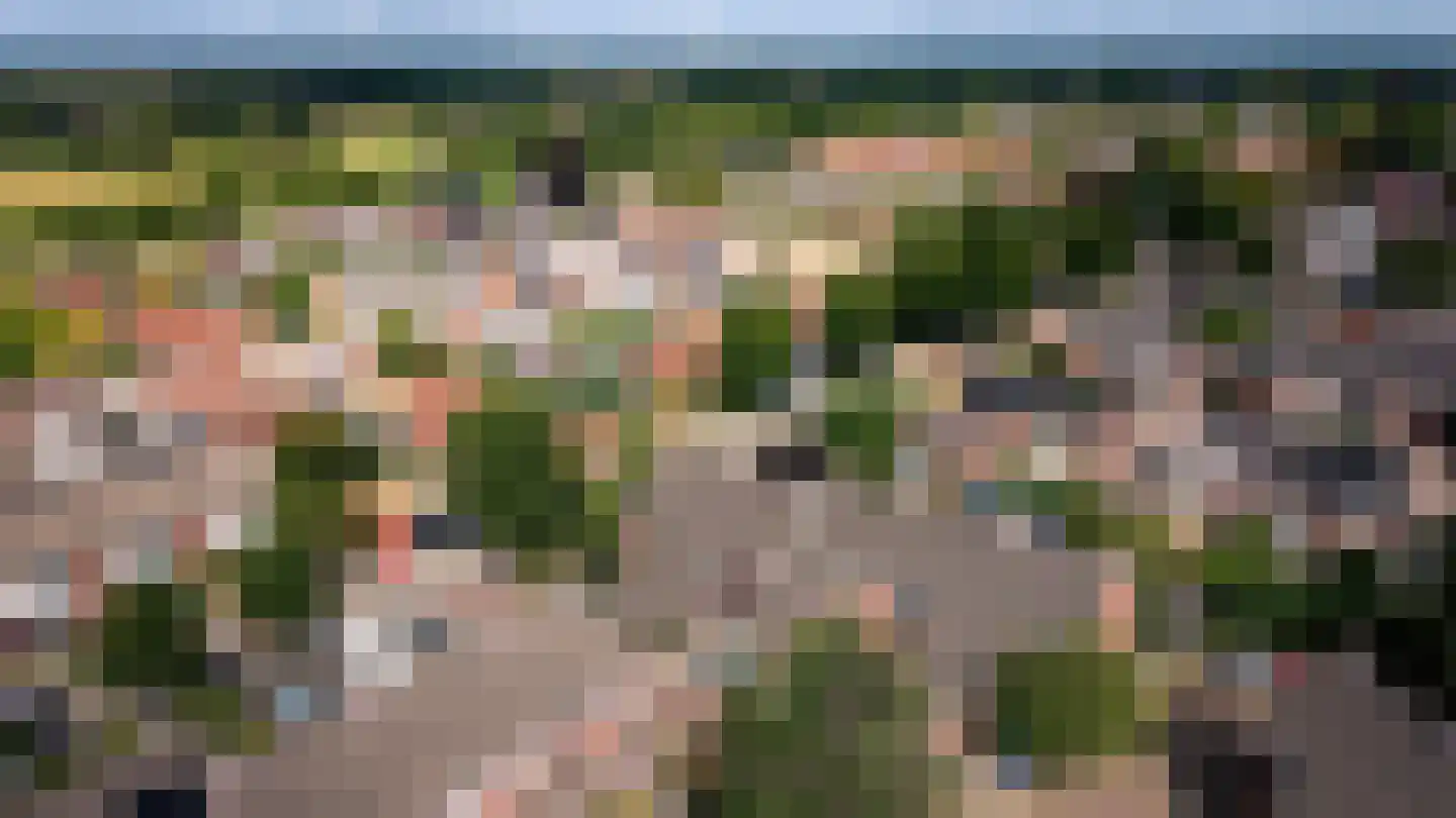 De Holtplaats 32 Silvolde thumbnail 4