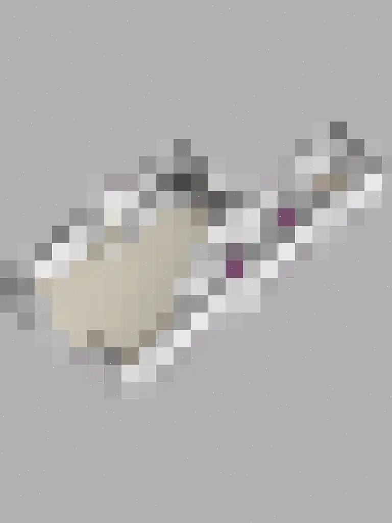 De Holtplaats 32 Silvolde thumbnail 45