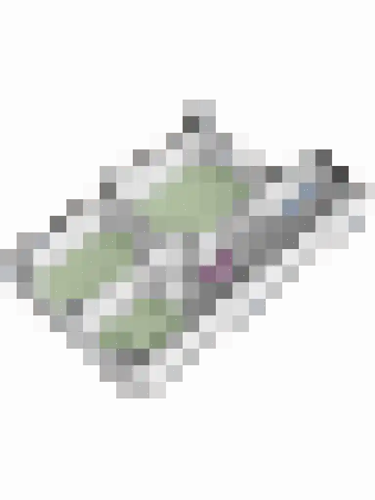 De Holtplaats 32 Silvolde thumbnail 46