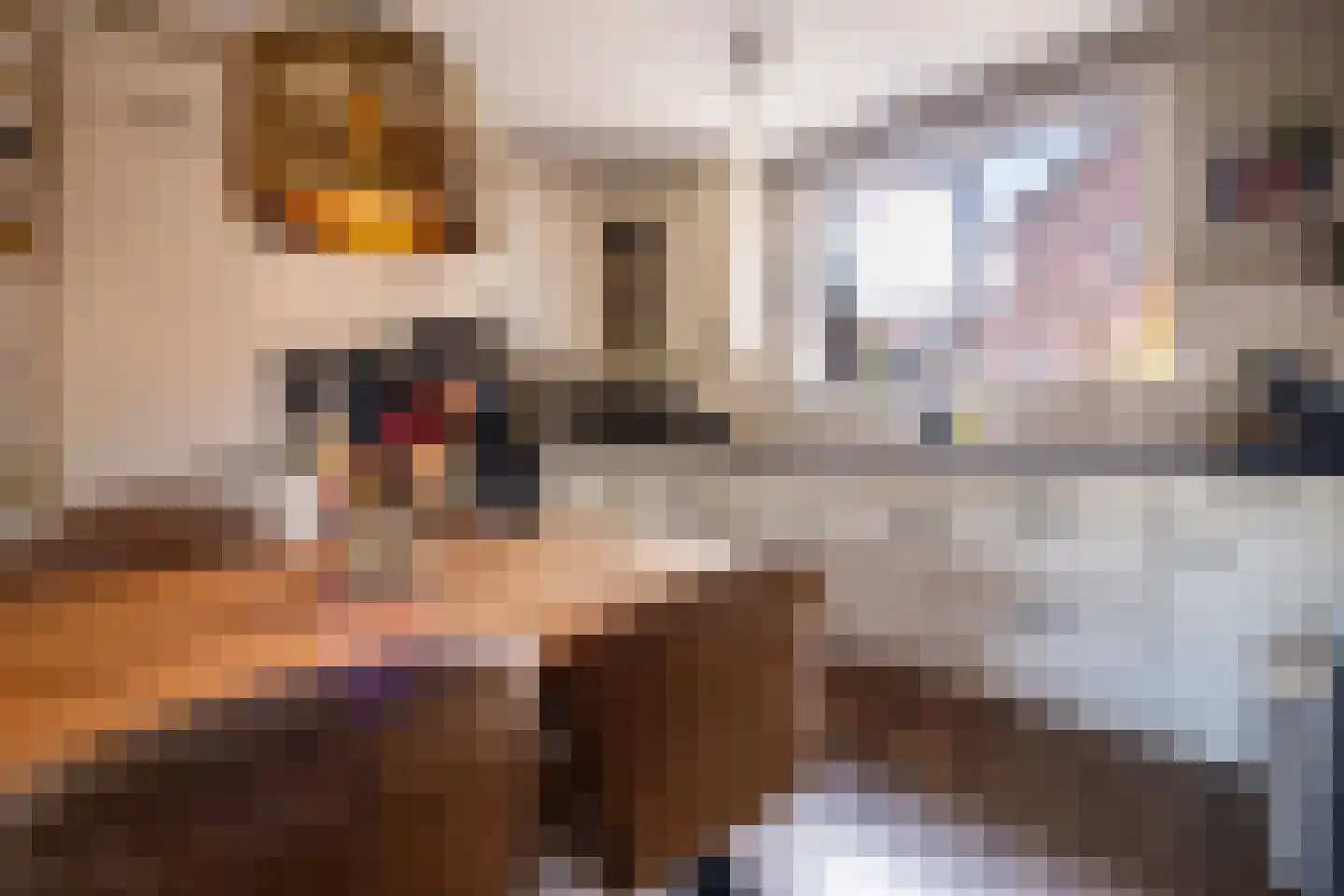 De Holtplaats 32 Silvolde thumbnail 5