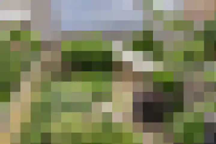 De Holtplaats 4 Silvolde thumbnail 27