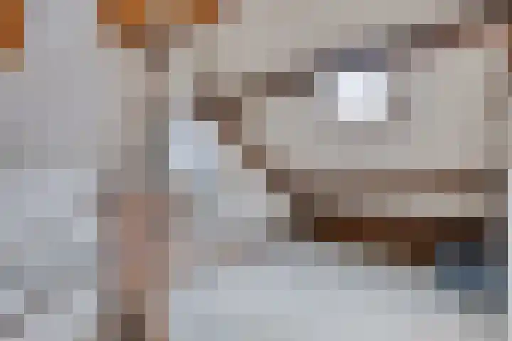 De Holtplaats 4 Silvolde thumbnail 28