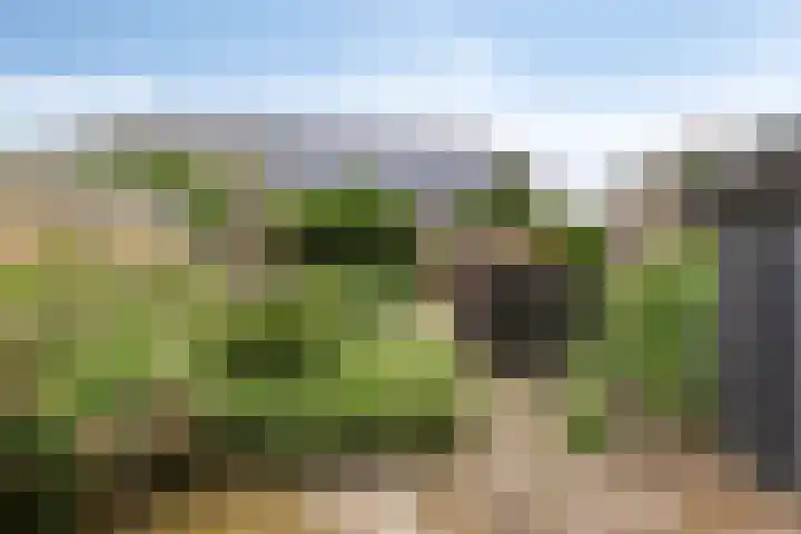 De Holtplaats 4 Silvolde thumbnail 32