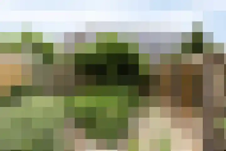De Holtplaats 4 Silvolde thumbnail 33