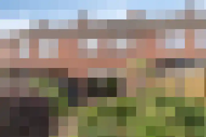 De Holtplaats 4 Silvolde thumbnail 34