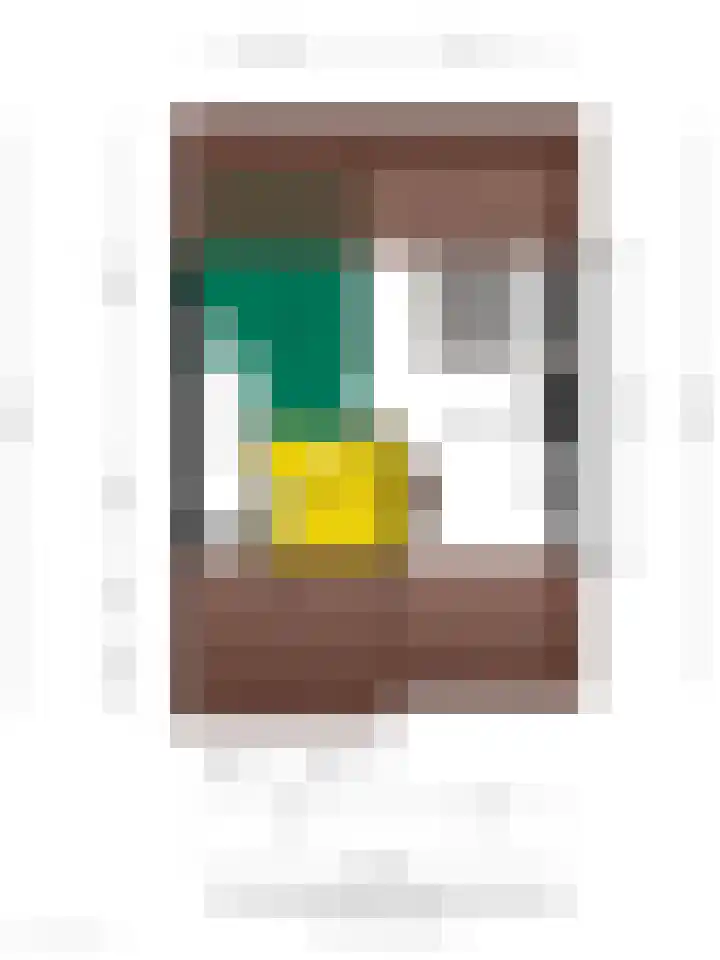 De Holtplaats 4 Silvolde thumbnail 40