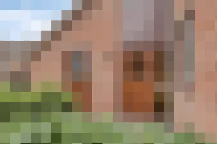 De Holtplaats 4 Silvolde thumbnail 5
