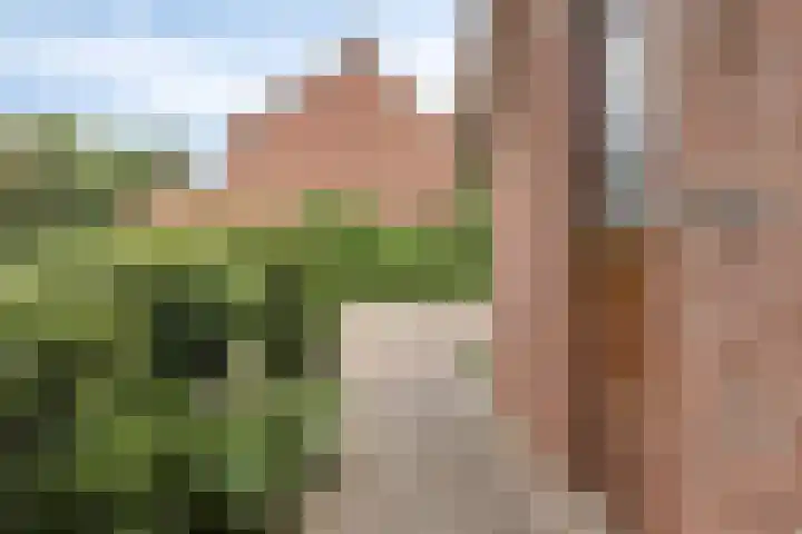 De Holtplaats 4 Silvolde thumbnail 6