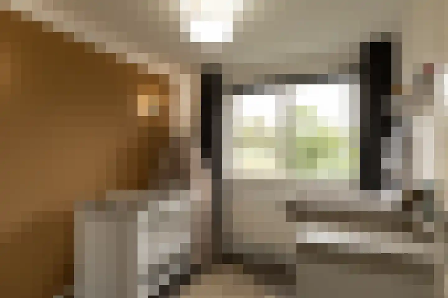 De Holtplaats 8 Silvolde thumbnail 19