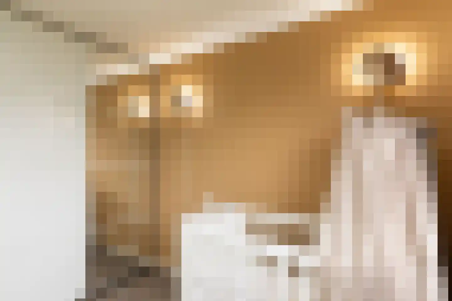 De Holtplaats 8 Silvolde thumbnail 20