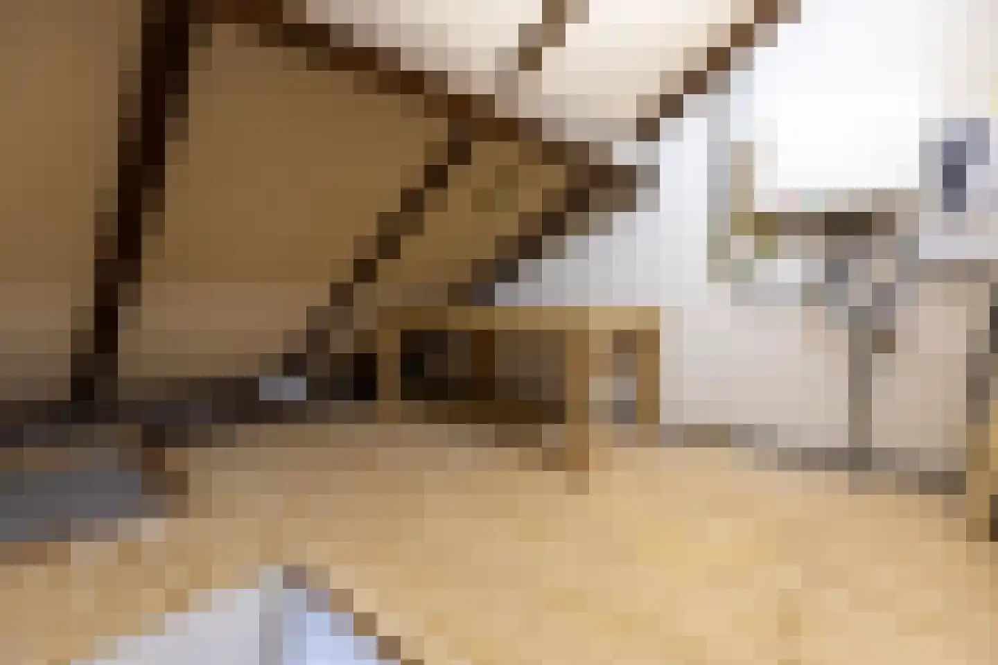 De Holtplaats 8 Silvolde thumbnail 28