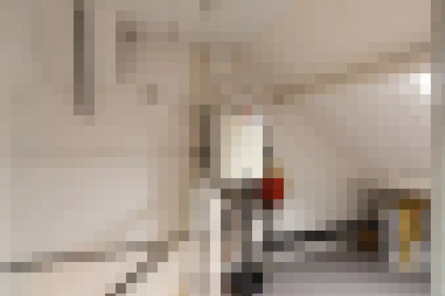 De Holtplaats 8 Silvolde thumbnail 29