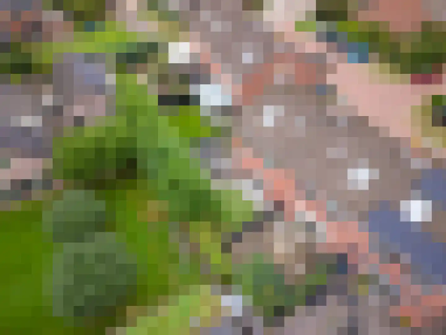 De Holtplaats 8 Silvolde thumbnail 35