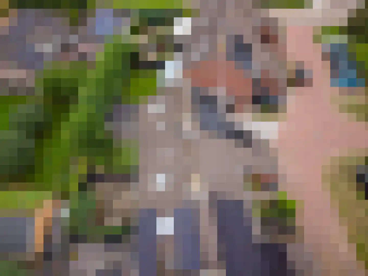 De Holtplaats 8 Silvolde thumbnail 36