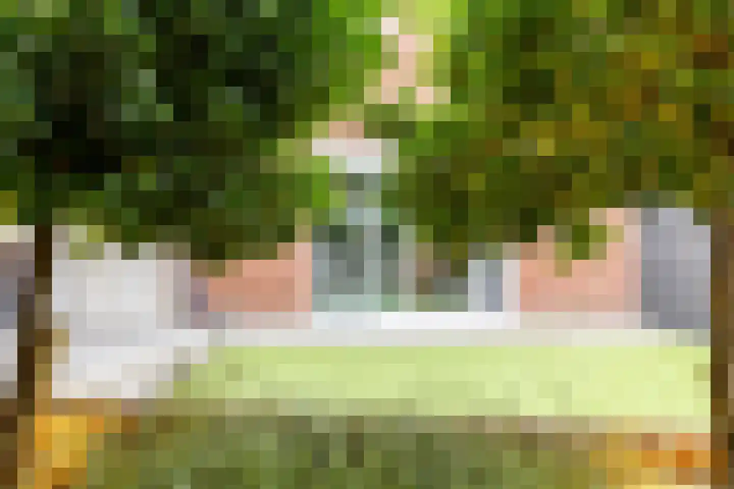 De Holtplaats 8 Silvolde thumbnail 40