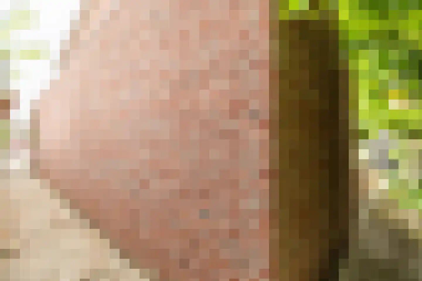De Holtplaats 8 Silvolde thumbnail 44