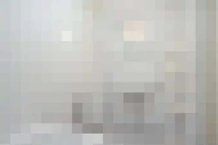 De Homeie 1 Wommels thumbnail 17