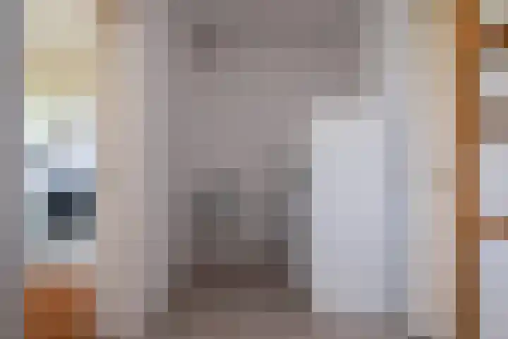 De Homeie 1 Wommels thumbnail 20