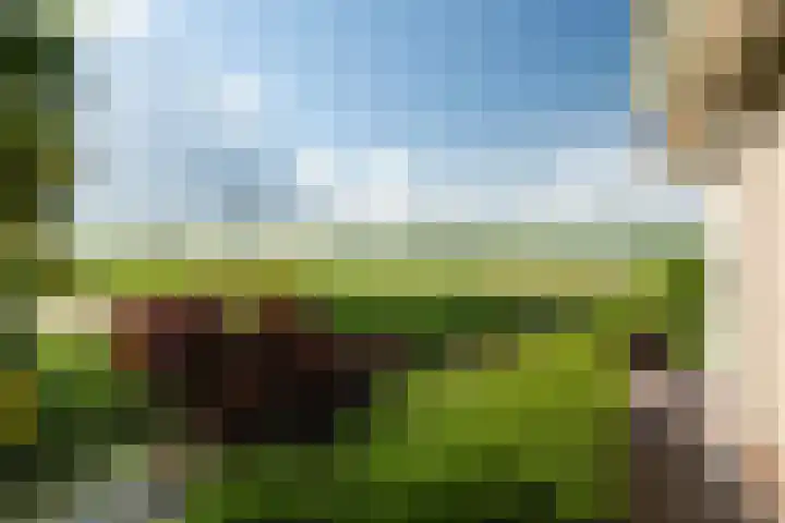 De Homeie 1 Wommels thumbnail 24