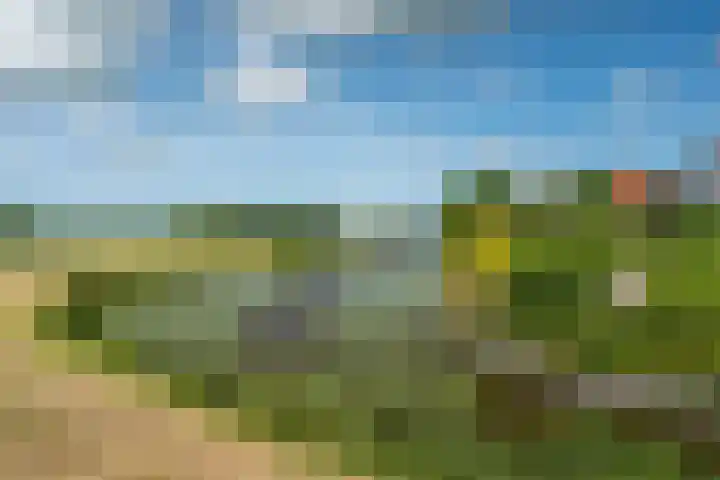 De Homeie 1 Wommels thumbnail 25