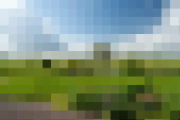 De Homeie 1 Wommels thumbnail 26