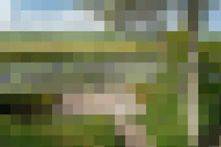 De Homeie 1 Wommels thumbnail 27