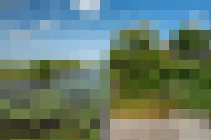 De Homeie 1 Wommels thumbnail 28