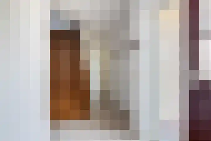 De Homeie 1 Wommels thumbnail 29