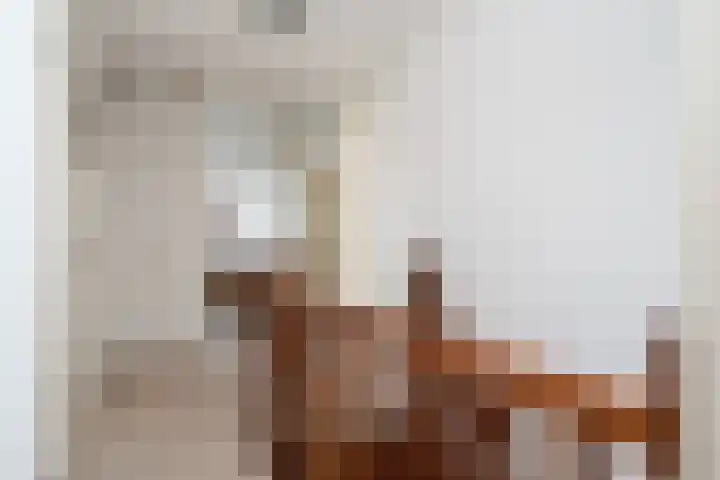 De Homeie 1 Wommels thumbnail 30