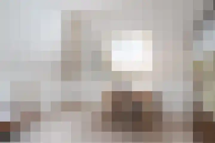 De Homeie 1 Wommels thumbnail 37