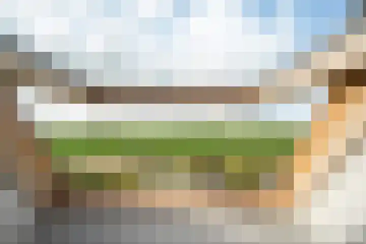 De Homeie 1 Wommels thumbnail 40